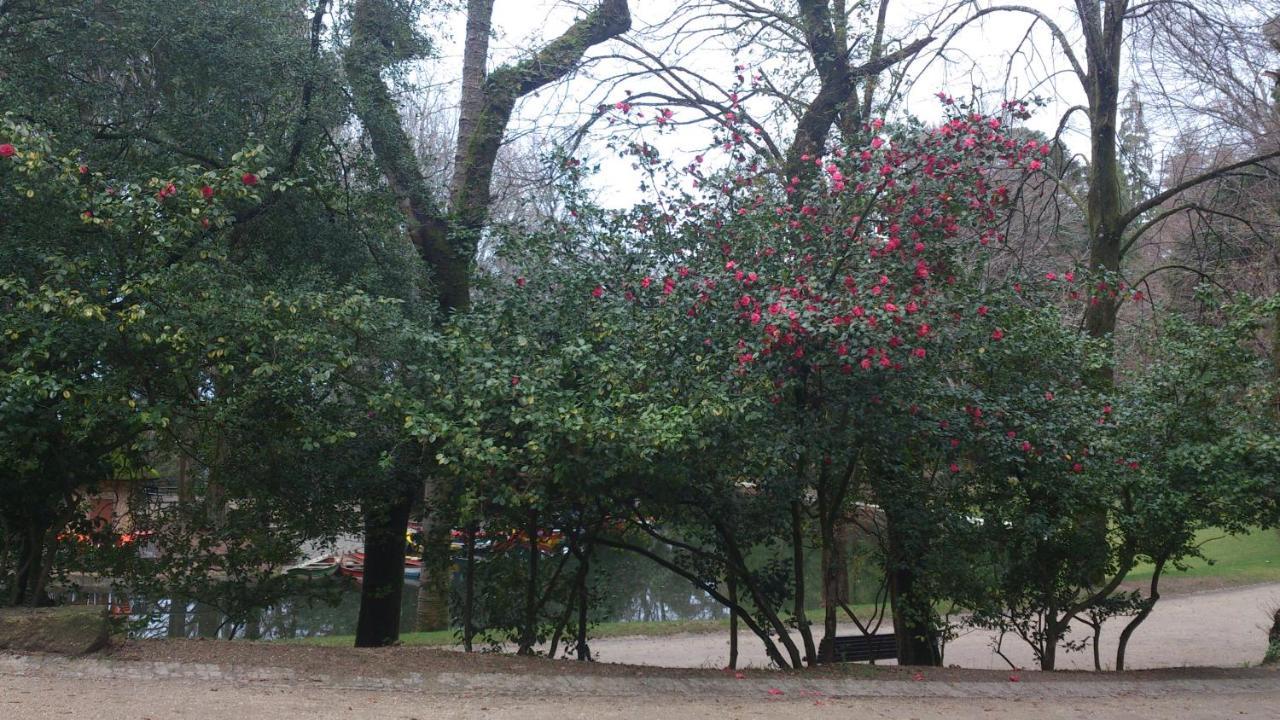 Hotel Do Parque 브라가 외부 사진